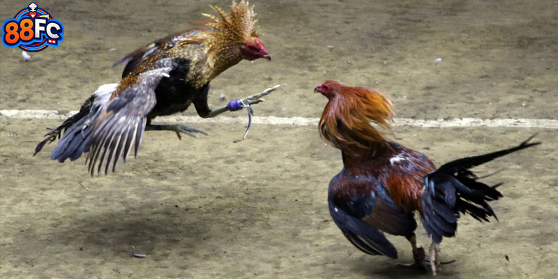 Bảo mật an toàn thông tin